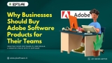 Why Businesses Should Buy Adobe Software Products for Their Teams