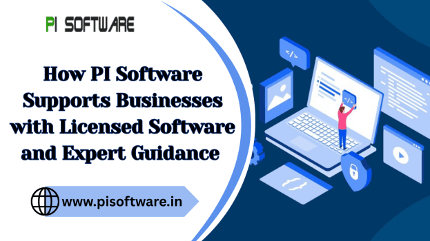 How PI Software Supports Businesses with Licensed Software and Expert Guidance