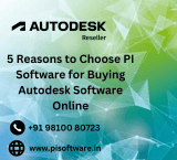5 Reasons to Choose PI Software for Buy Autodesk Software Online