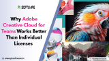 Why Adobe Creative Cloud for Teams Works Better Than Individual Licenses