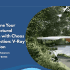 Boost Your ArchViz Workflow with Chaos ArchViz Collection: Corona Edition