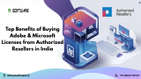 Top Benefits of Buying Adobe & Microsoft Licenses from Authorized Resellers in India