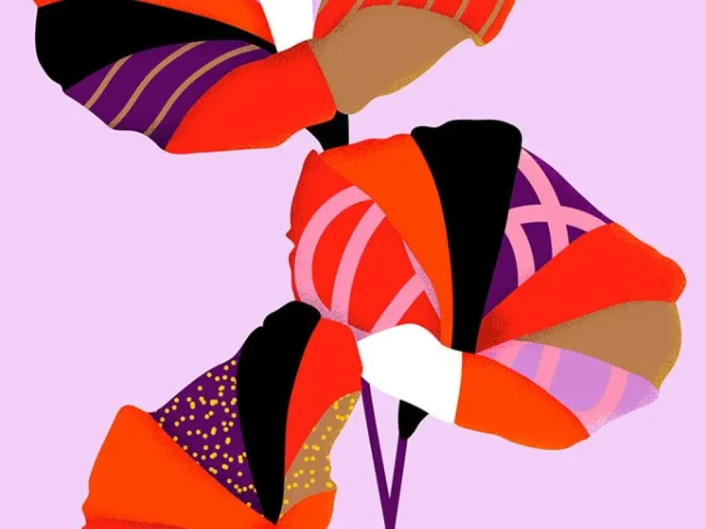 adobe-illustrator-left-side-image