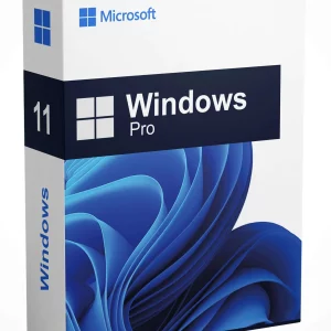 Windows11 pro